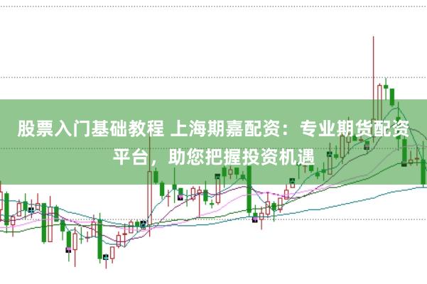 股票入门基础教程 上海期嘉配资：专业期货配资平台，助您把握投资机遇