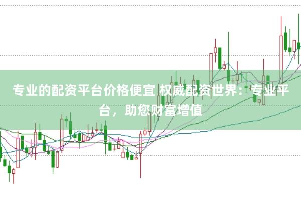 专业的配资平台价格便宜 权威配资世界:专业平台,助您财富增值