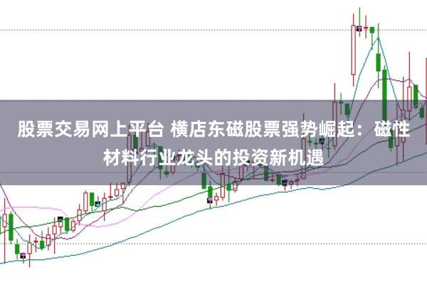 股票交易网上平台 横店东磁股票强势崛起：磁性材料行业龙头的投资新机遇