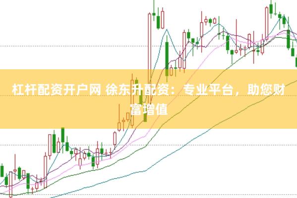 杠杆配资开户网 徐东升配资：专业平台，助您财富增值