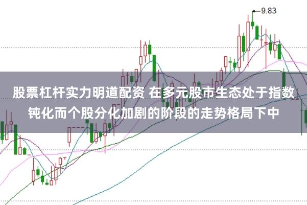 股票杠杆实力明道配资 在多元股市生态处于指数钝化而个股分化加剧的阶段的走势格局下中