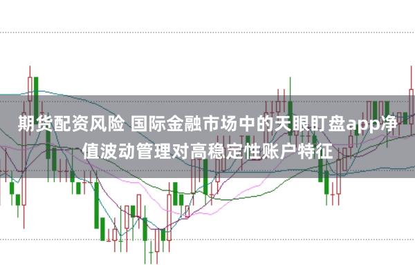 期货配资风险 国际金融市场中的天眼盯盘app净值波动管理对高稳定性账户特征