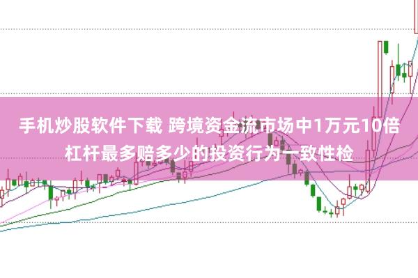 手机炒股软件下载 跨境资金流市场中1万元10倍杠杆最多赔多少的投资行为一致性检
