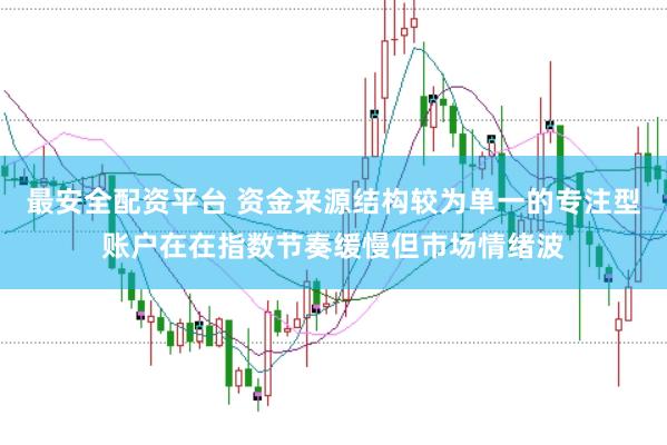 最安全配资平台 资金来源结构较为单一的专注型账户在在指数节奏缓慢但市场情绪波
