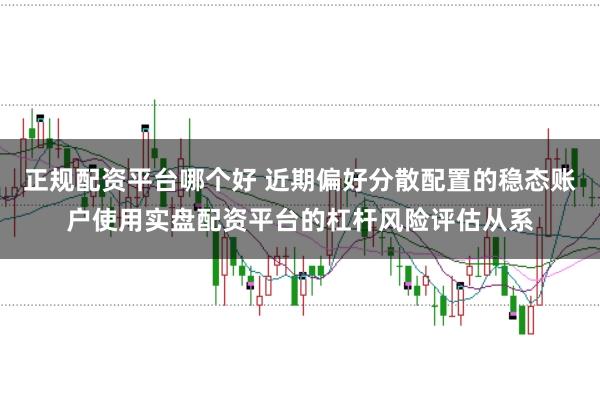 正规配资平台哪个好 近期偏好分散配置的稳态账户使用实盘配资平台的杠杆风险评估从系
